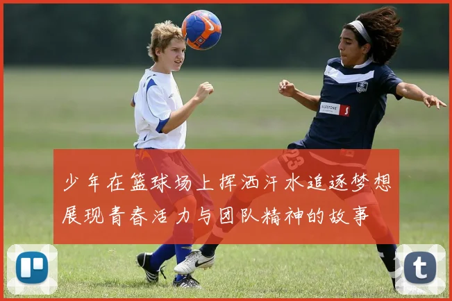 少年在篮球场上挥洒汗水追逐梦想展现青春活力与团队精神的故事